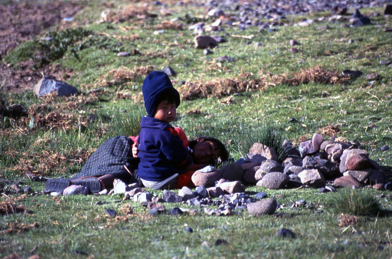 Titikaka lake, Amantani